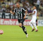 Prediksi Palmeiras vs Botafogo RJ