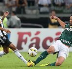 Botafogo vs Palmeiras